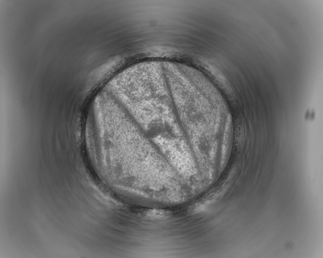 X0000089910261200707201802