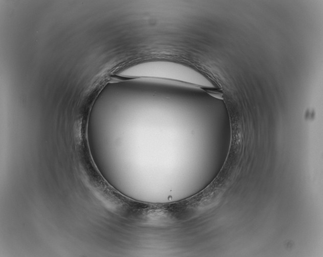 X0000089910262200707201802