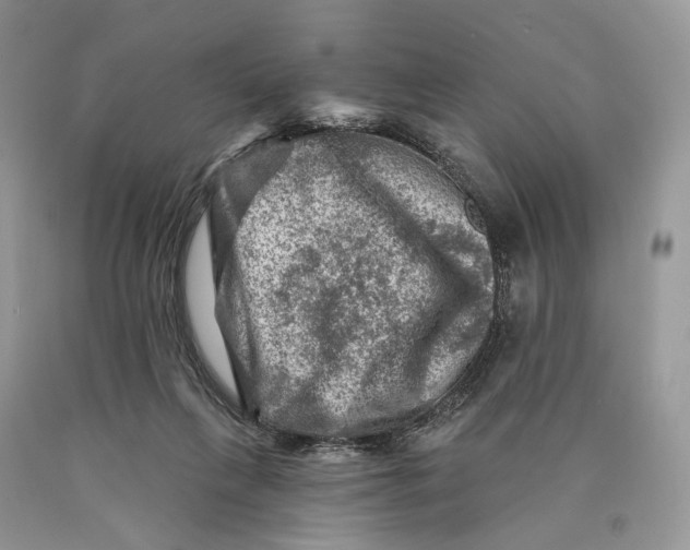 X0000089910263200707201802