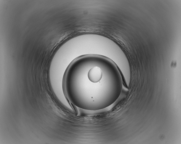 X0000089910264200707201802