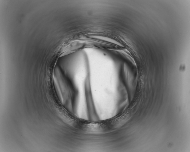 X0000089910265200707201802