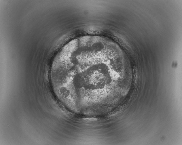 X0000089910266200707201802