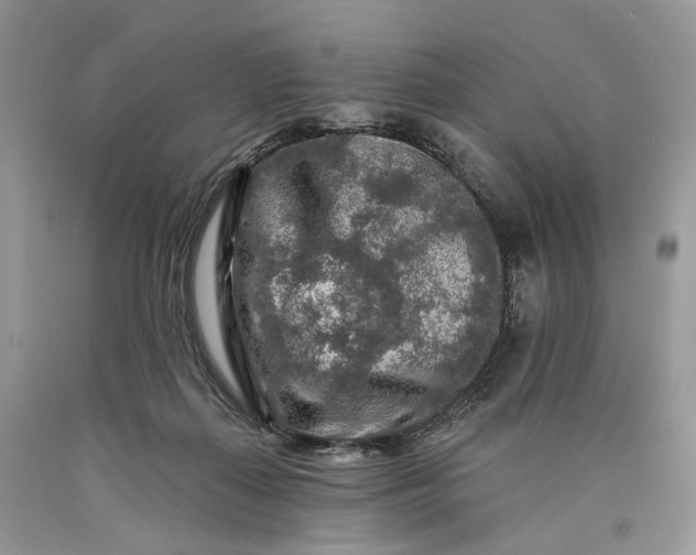 X0000089910267200707201802