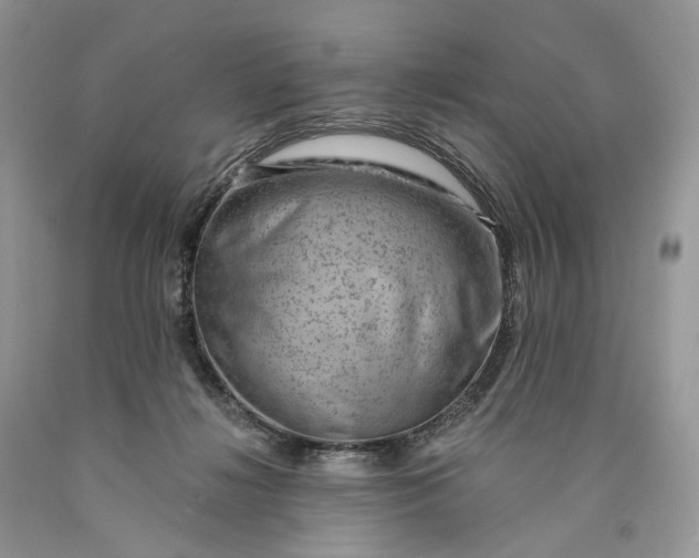 X0000089910268200707201802