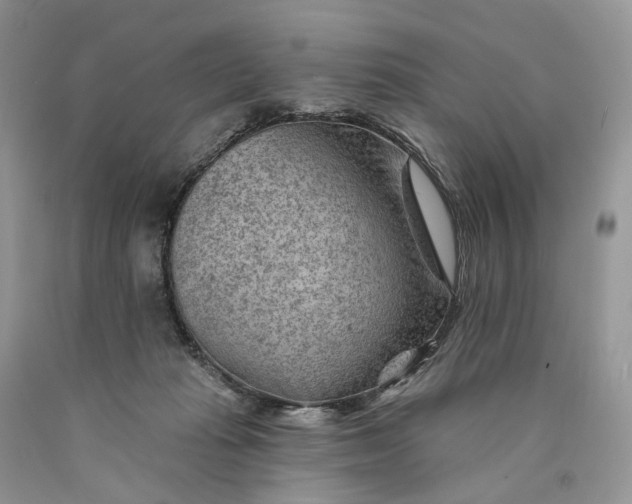 X0000089910269200707201802