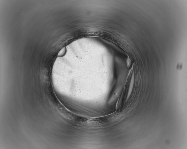 X0000089910270200707201802