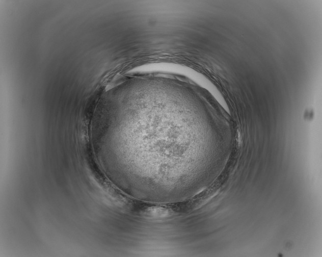 X0000089910272200707201802