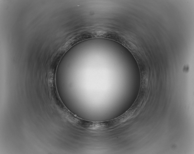 X0000089910274200707201802