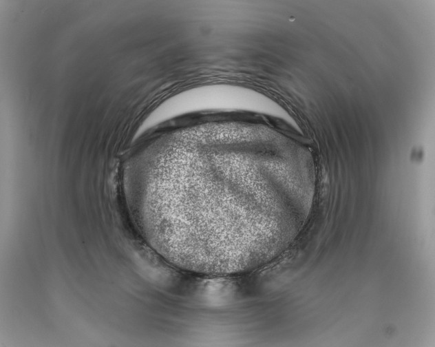 X0000089910275200707201802