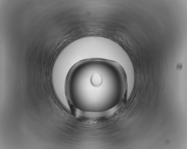 X0000089910276200707201802