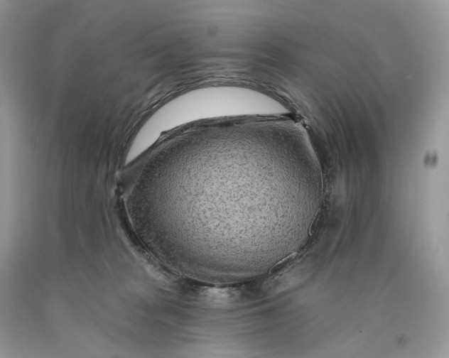 X0000089910277200707201802