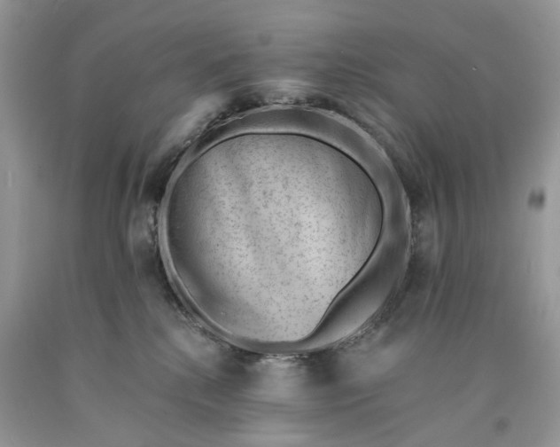 X0000089910280200707201803