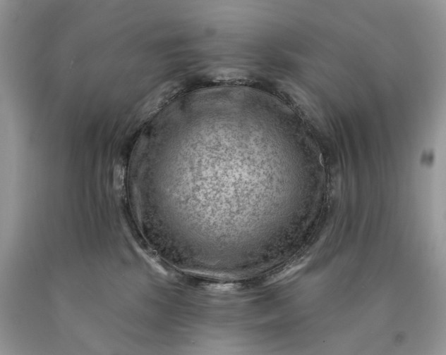 X0000089910281200707201803