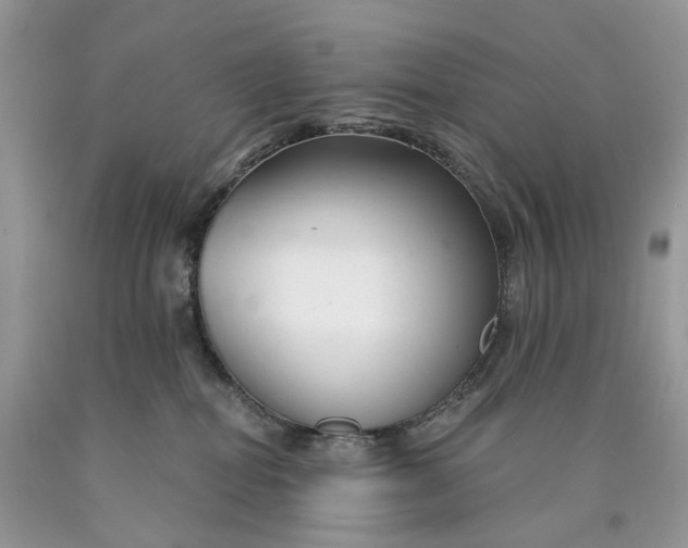 X0000089910282200707201803