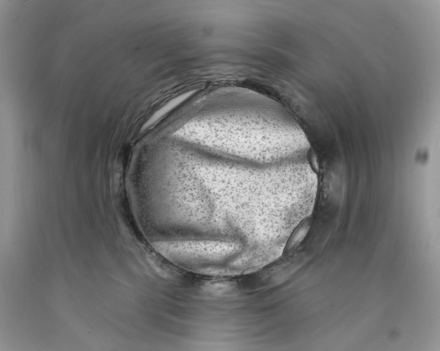 X0000089910283200707201803