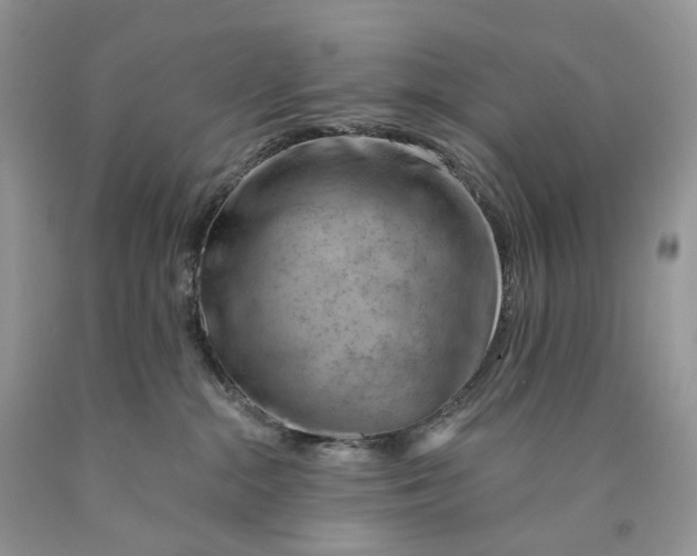 X0000089910284200707201803