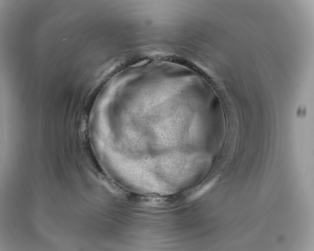 X0000089910288200707201803