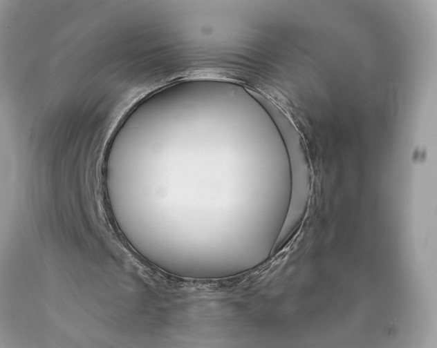 X0000089910289200707201802