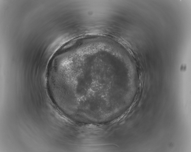 X0000089910290200707201802