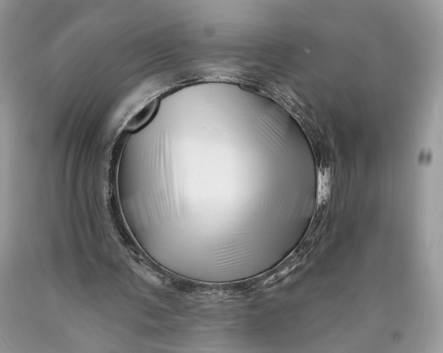 X0000089910291200707201802