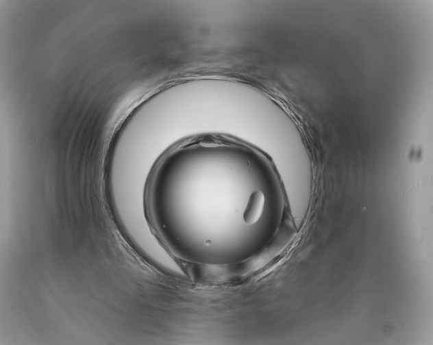 X0000089910293200707201802