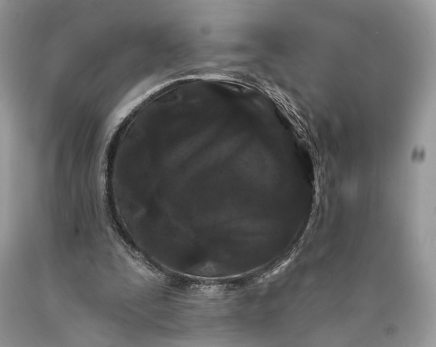 X0000089910295200707201802