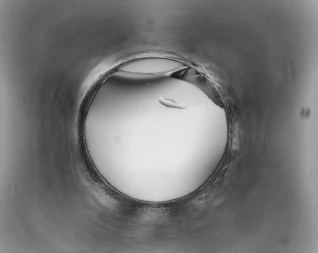 X0000089910296200707201802