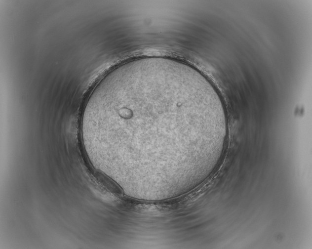 X0000089910297200707201802