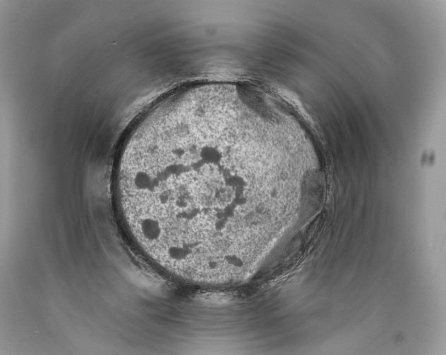 X0000089910299200707201802