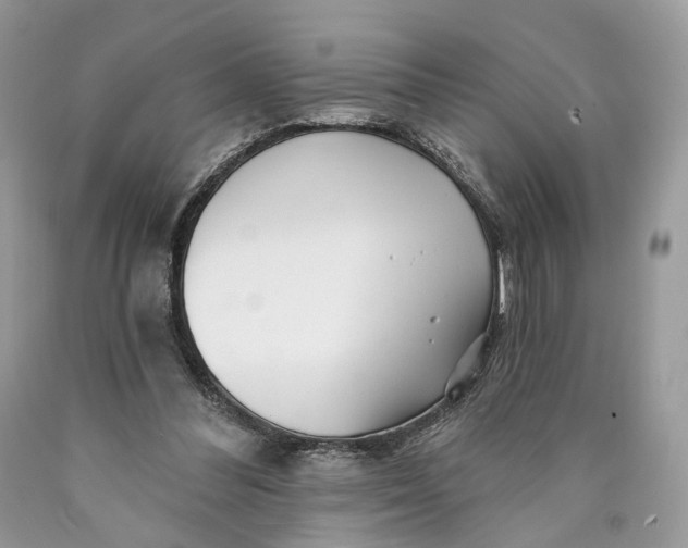 X0000089910300200707201802