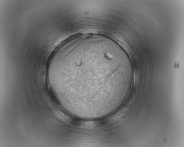 X0000089910301200707201802