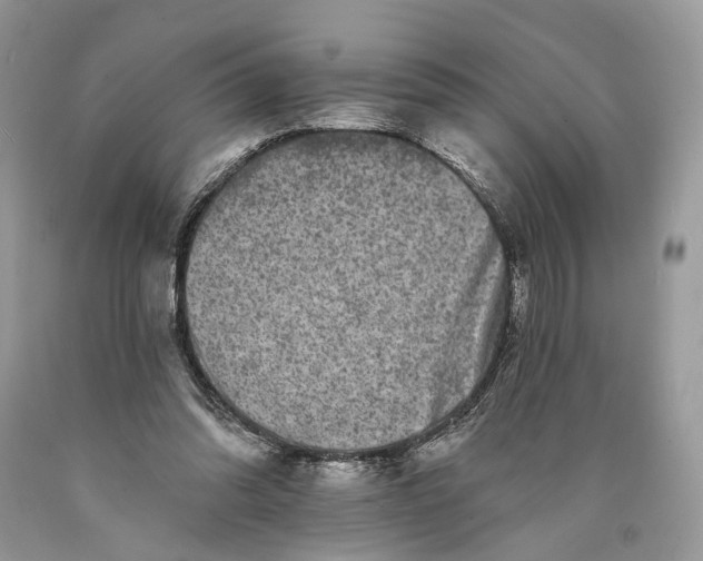 X0000089910302200707201802