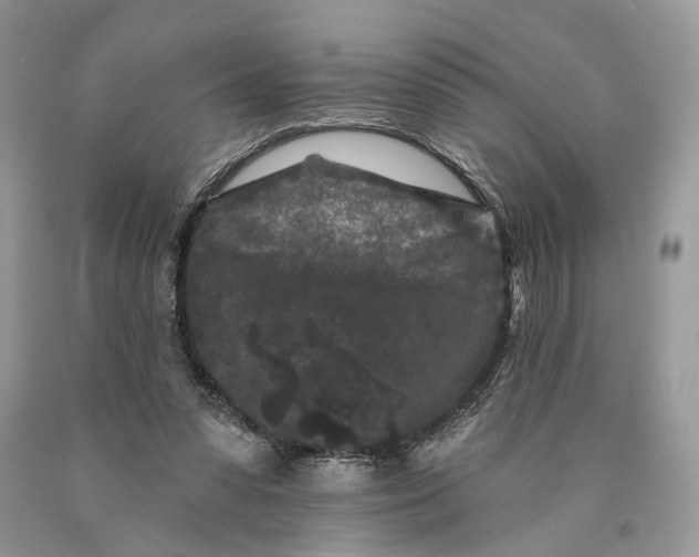 X0000089910303200707201802