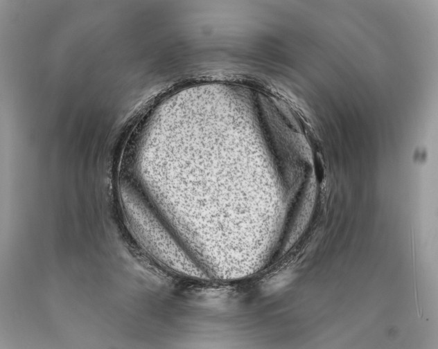 X0000089910306200707201802