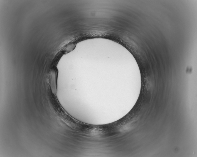 X0000089910308200707201802