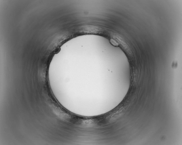 X0000089910309200707201802