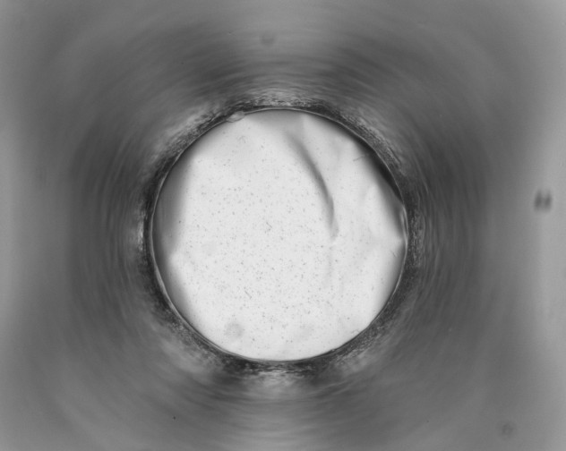 X0000089910310200707201802