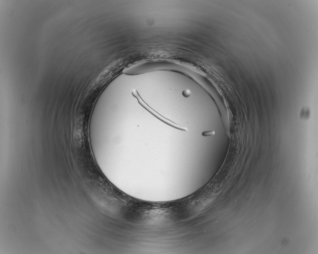 X0000089910312200707201802