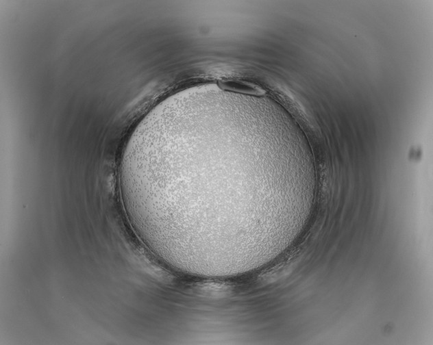 X0000089910313200707201802