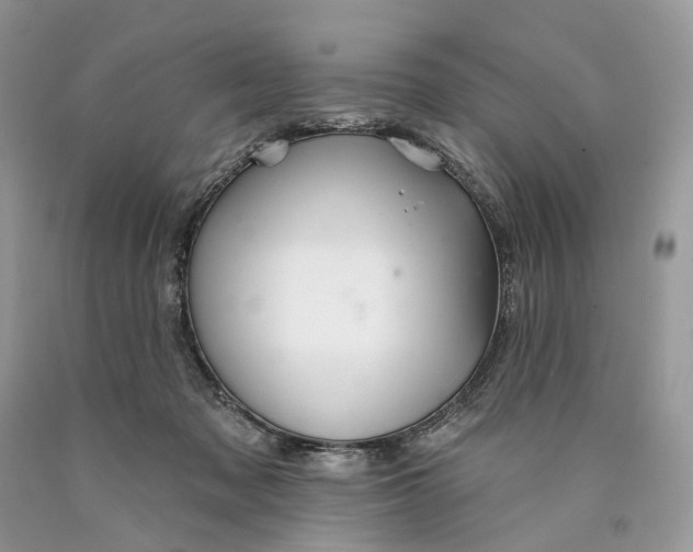 X0000089910317200707201802