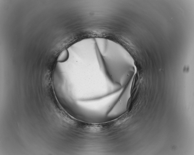 X0000089910318200707201802