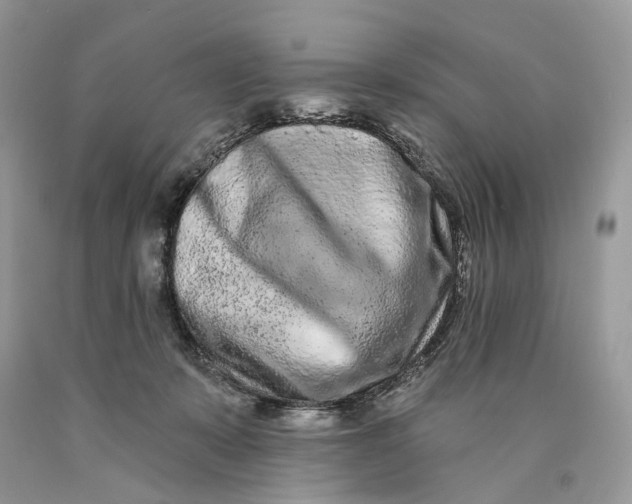 X0000089910319200707201802