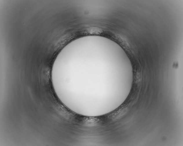 X0000089910321200707201802