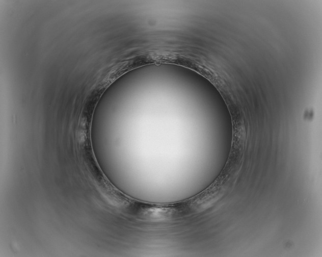 X0000089910323200707201801