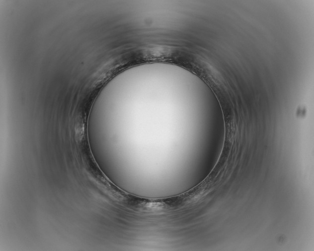 X0000089910324200707201801