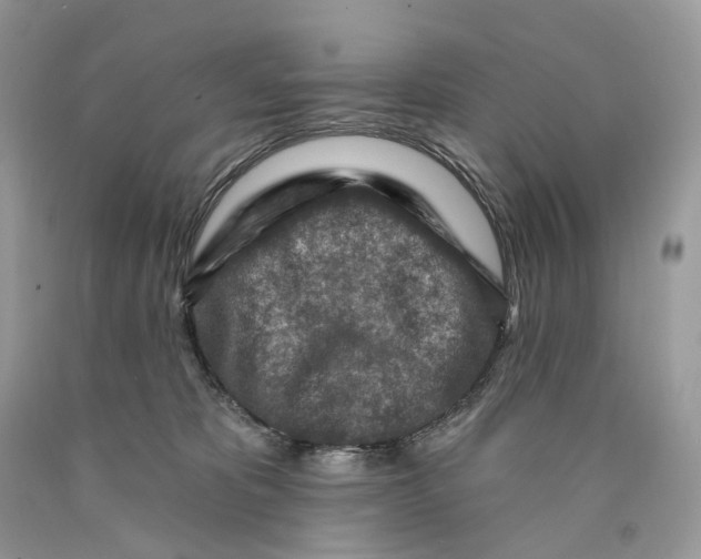 X0000089910325200707201801