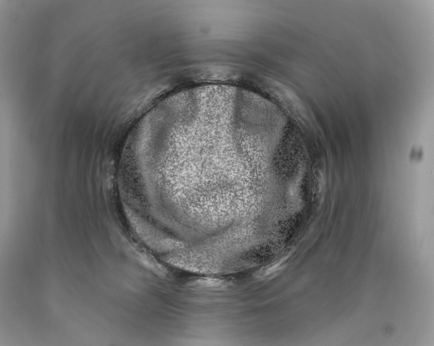 X0000089910326200707201801