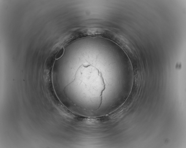 X0000089910327200707201801