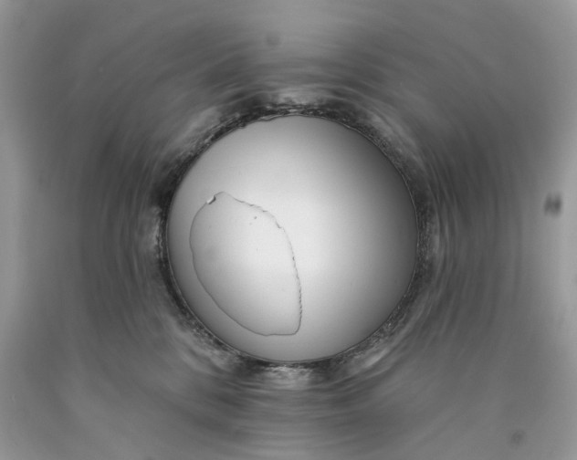 X0000089910328200707201801