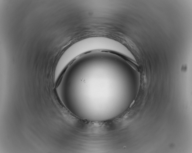 X0000089910329200707201801